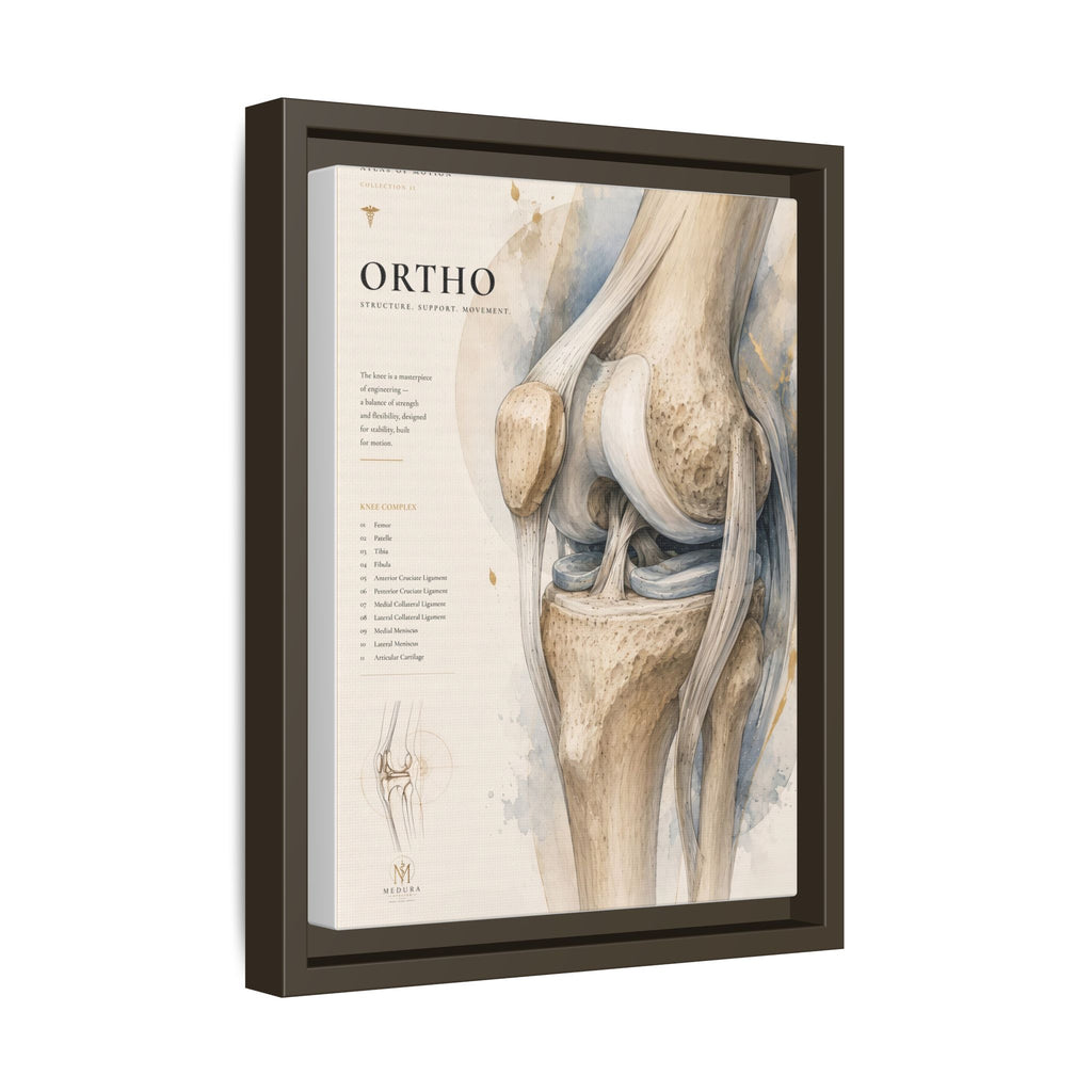 Orthopaedic Knee Anatomy Wall Art | Luxury Orthopedic Canvas Print | Museum-Inspired Fine Art
