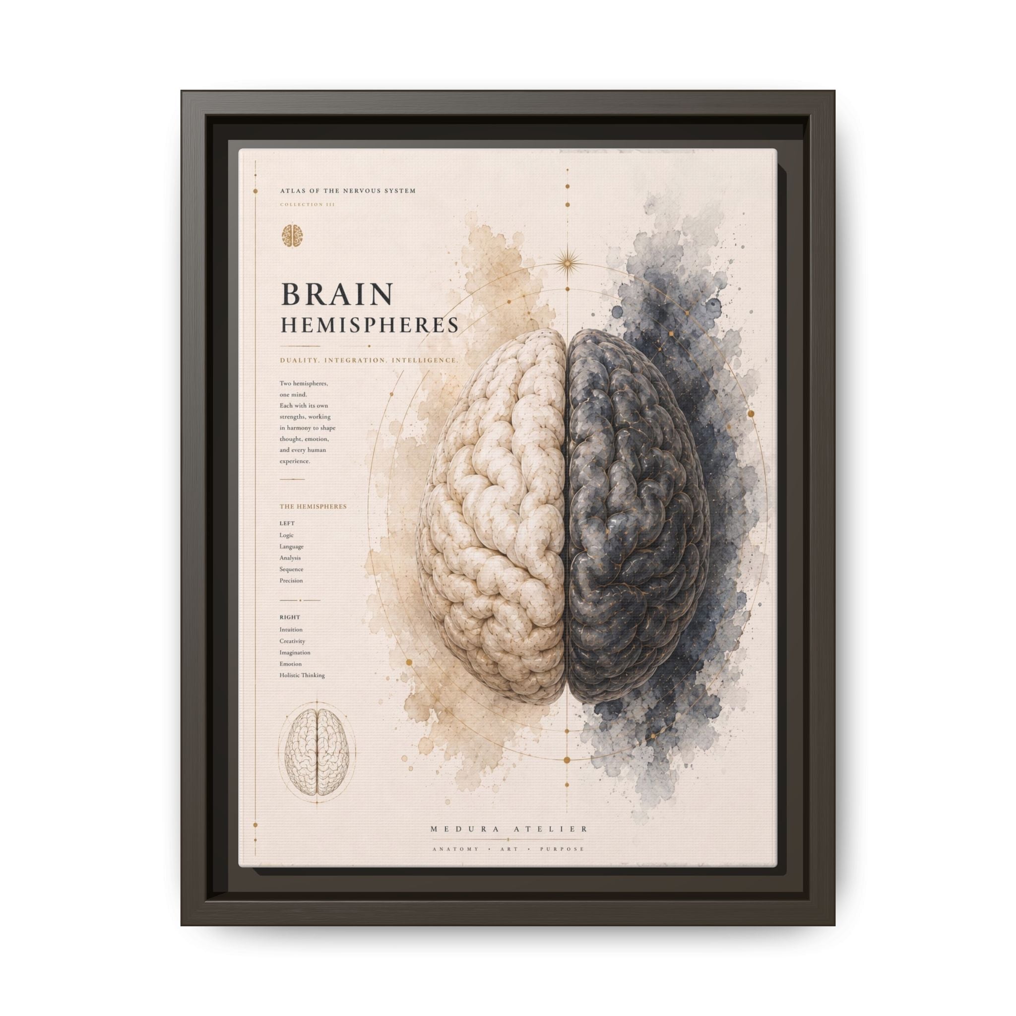 Brain Hemispheres Wall Art | Luxury Neuroscience Canvas Print | Museum-Inspired Fine Art