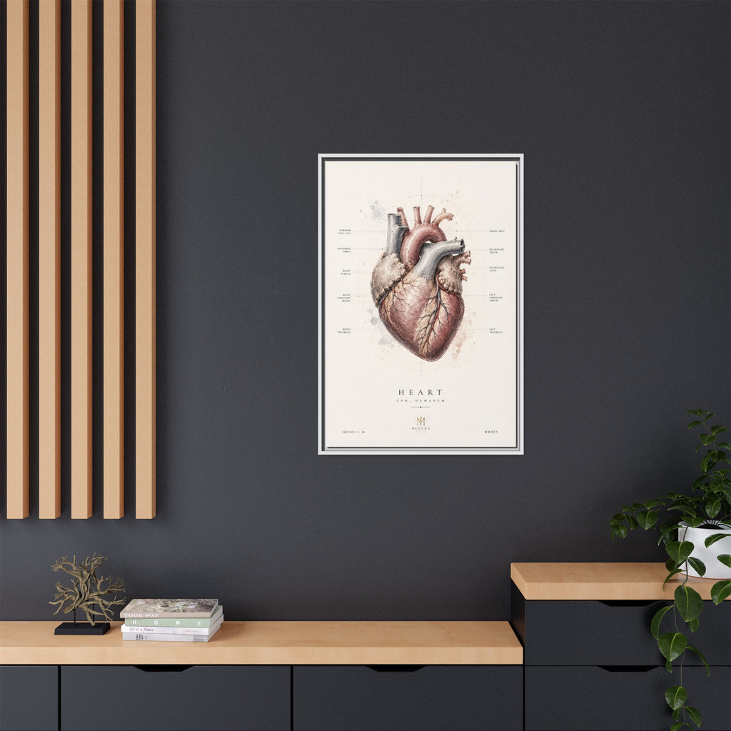 Anatomical Heart Wall Art | Luxury Medical Canvas Print | Museum-Inspired Fine Art