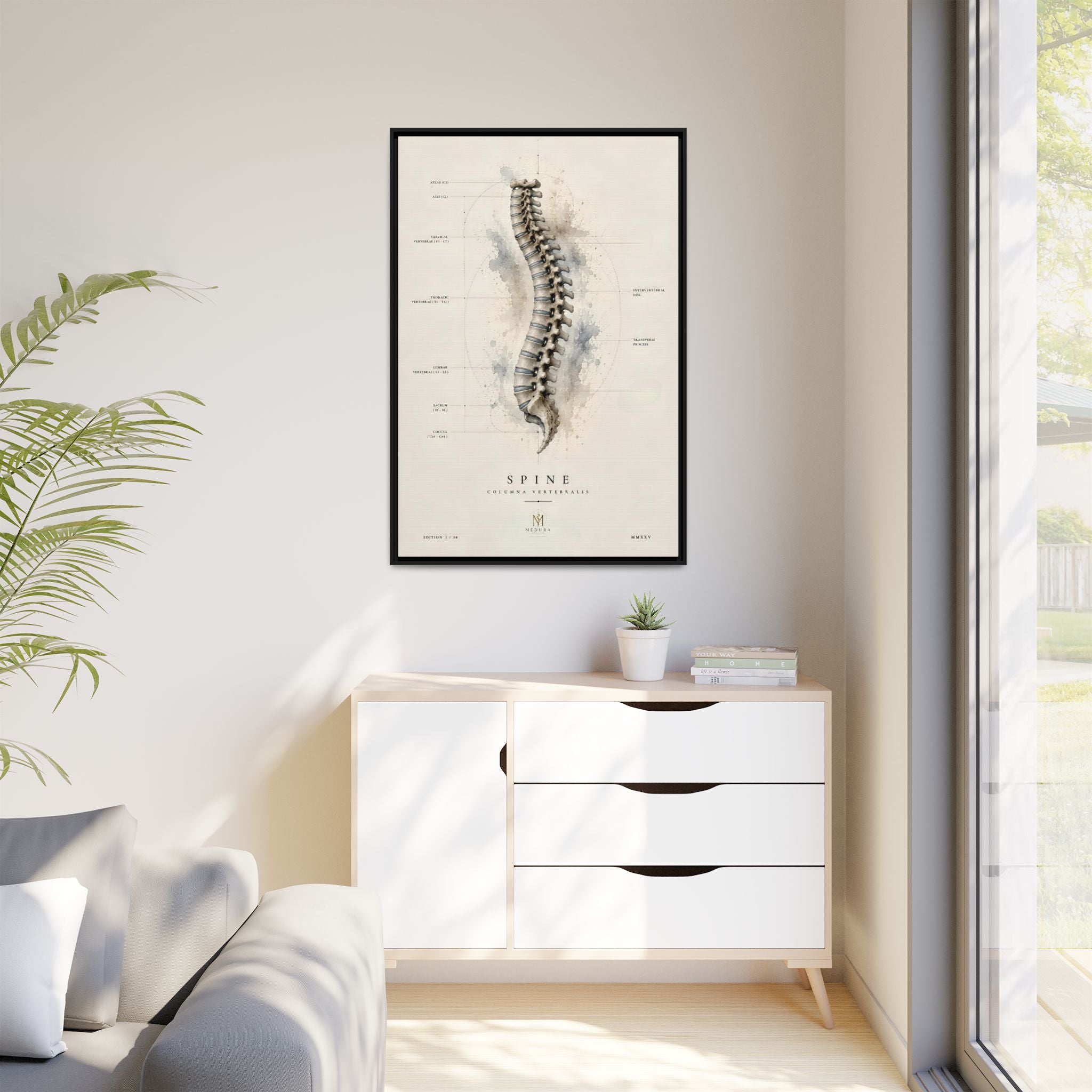 Anatomical Spine Wall Art | Luxury Vertebral Column Canvas Print | Museum-Inspired Fine Art