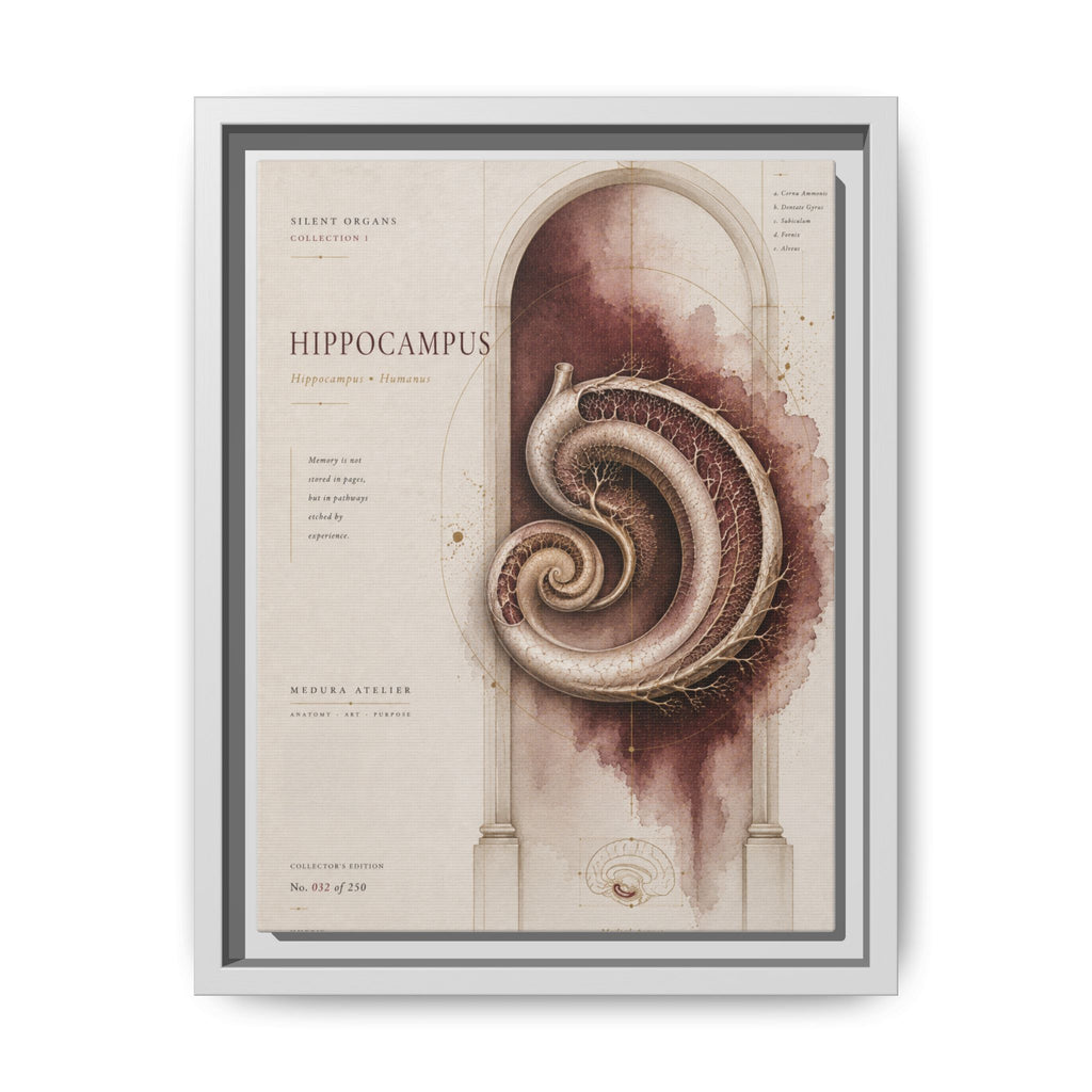 Silent Organs – Hippocampus Wall Art | Luxury Neuroscience Canvas Print | Museum-Inspired Fine Art