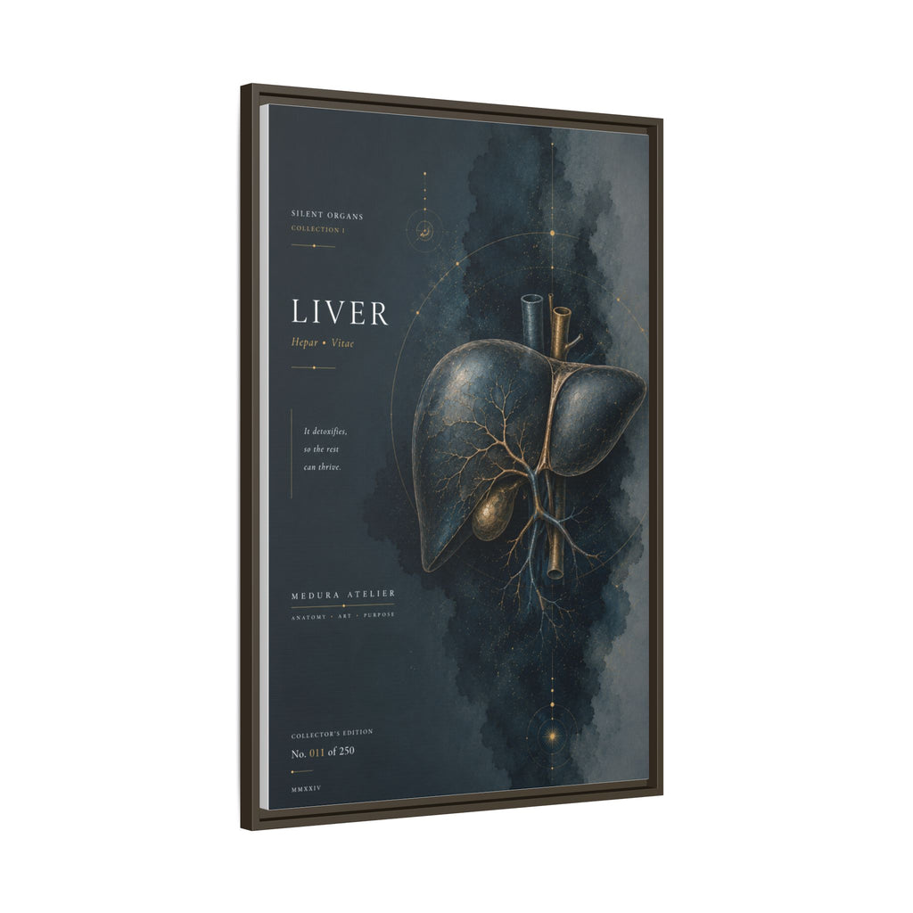 Silent Organs – Liver Wall Art | Luxury Anatomical Canvas Print | Museum-Inspired Fine Art