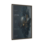 Silent Organs – Liver Wall Art | Luxury Anatomical Canvas Print | Museum-Inspired Fine Art