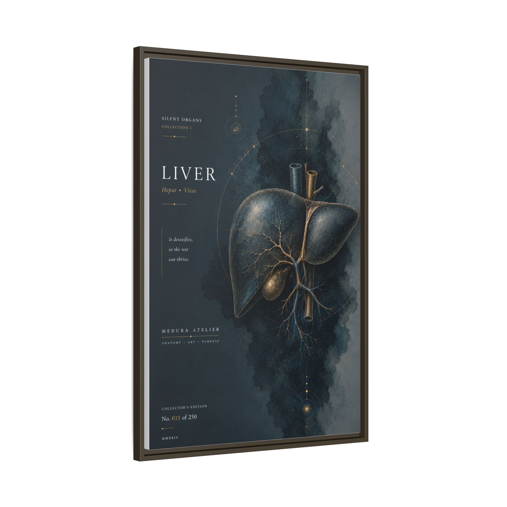 Silent Organs – Liver Wall Art | Luxury Anatomical Canvas Print | Museum-Inspired Fine Art