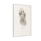 Anatomical Foot Skeleton Wall Art | Luxury Podiatry Canvas Print | Museum-Inspired Fine Art