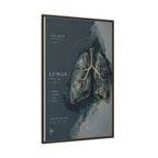 Silent Organs – Lungs Wall Art | Luxury Anatomical Canvas Print | Museum-Inspired Fine Art