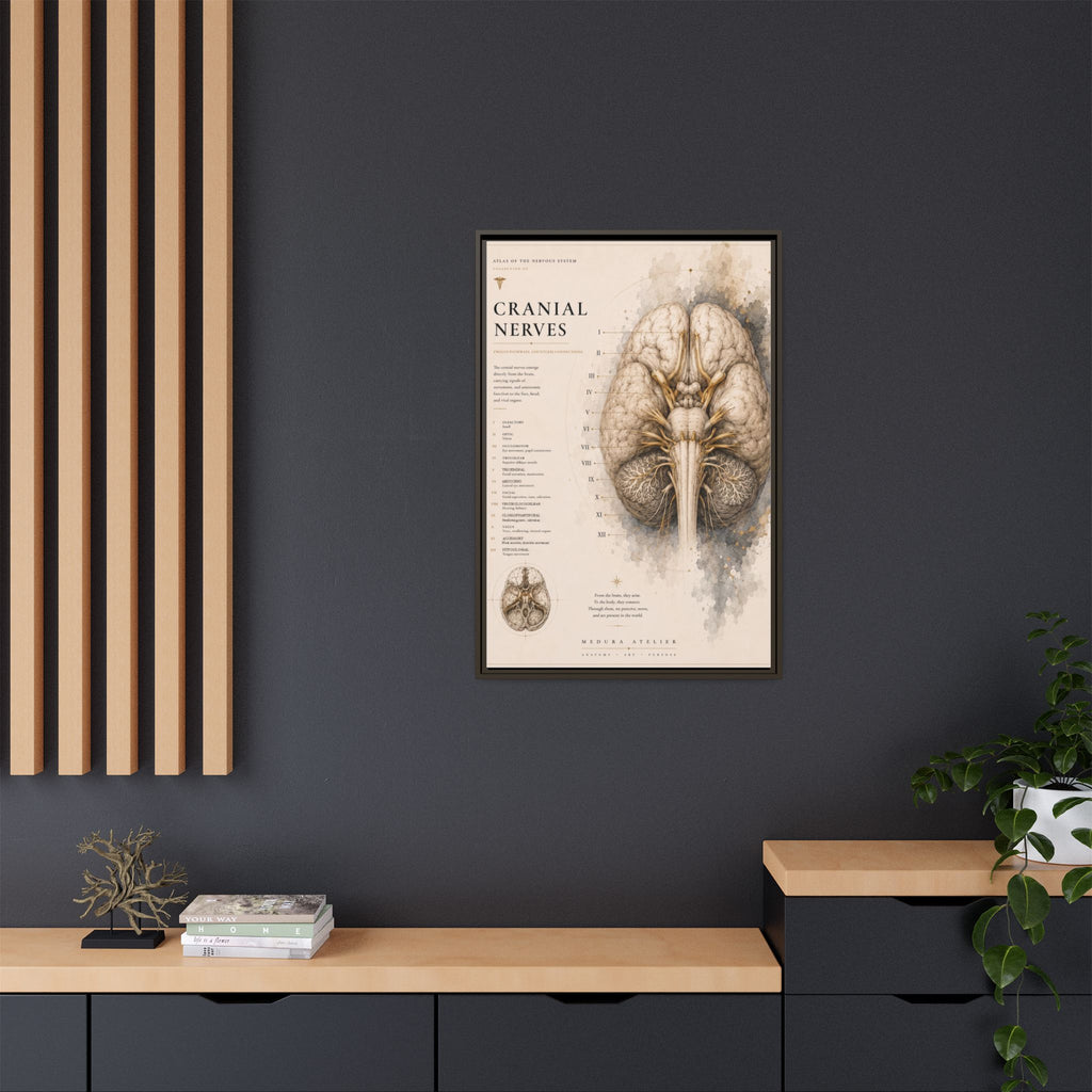 White Matter Brain Wall Art | Luxury Neuroscience Canvas Print | Museum-Inspired Fine Art