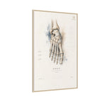 Anatomical Foot Skeleton Wall Art | Luxury Podiatry Canvas Print | Museum-Inspired Fine Art