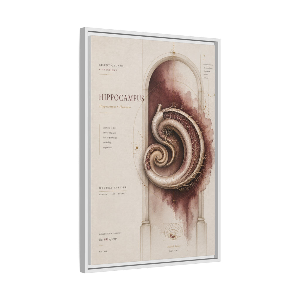 Silent Organs – Hippocampus Wall Art | Luxury Neuroscience Canvas Print | Museum-Inspired Fine Art