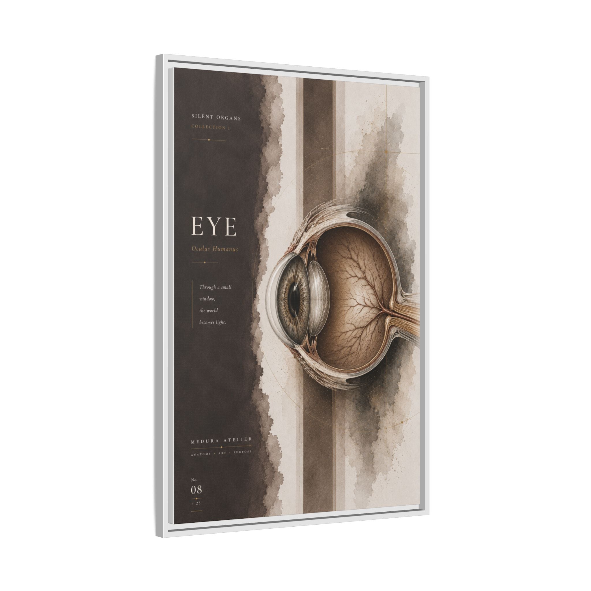 Silent Organs – Eye Wall Art | Luxury Anatomical Canvas Print | Museum-Inspired Fine Art