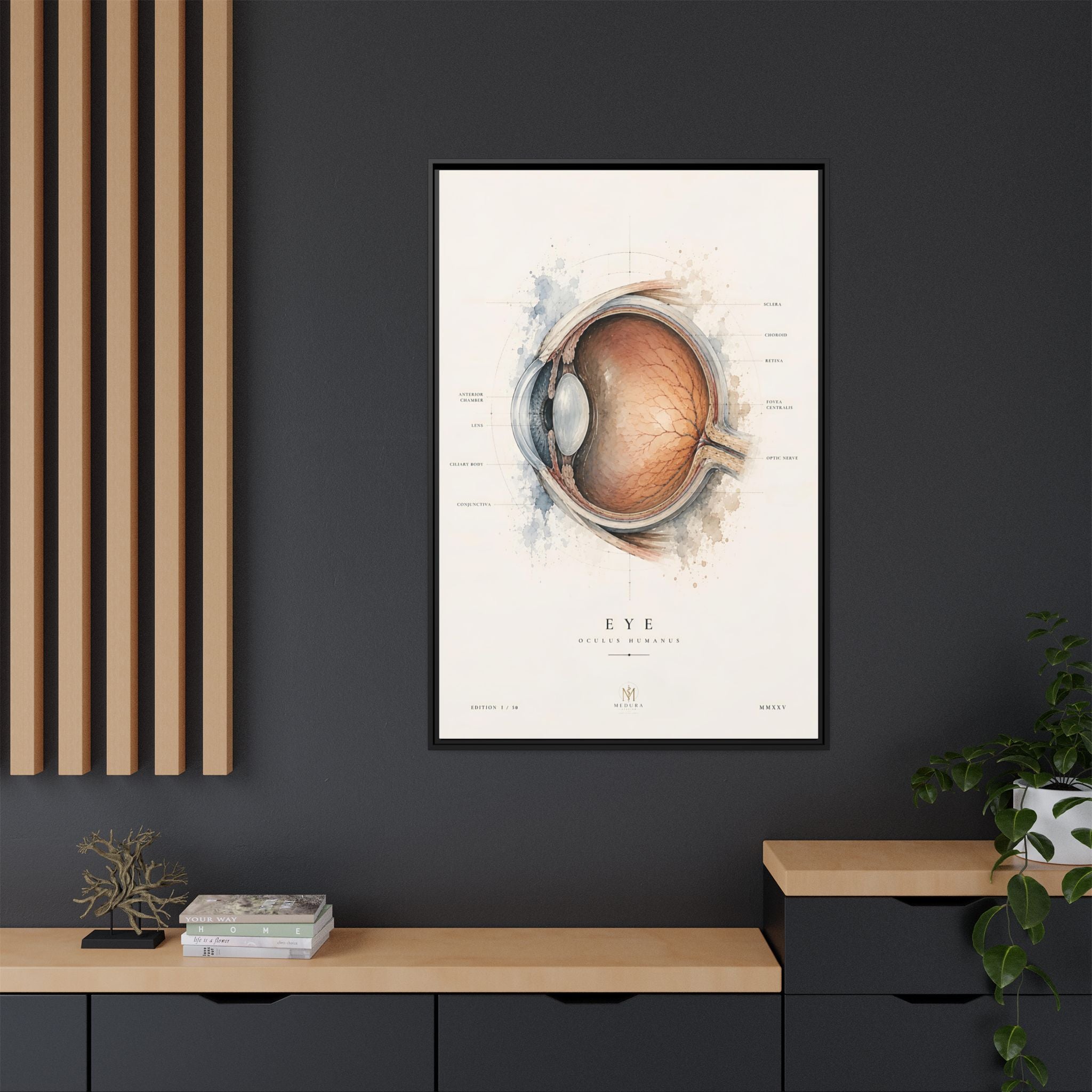 Anatomical Eye Canvas Print | Luxury Ophthalmology Wall Art | Museum-Inspired Medical Decor