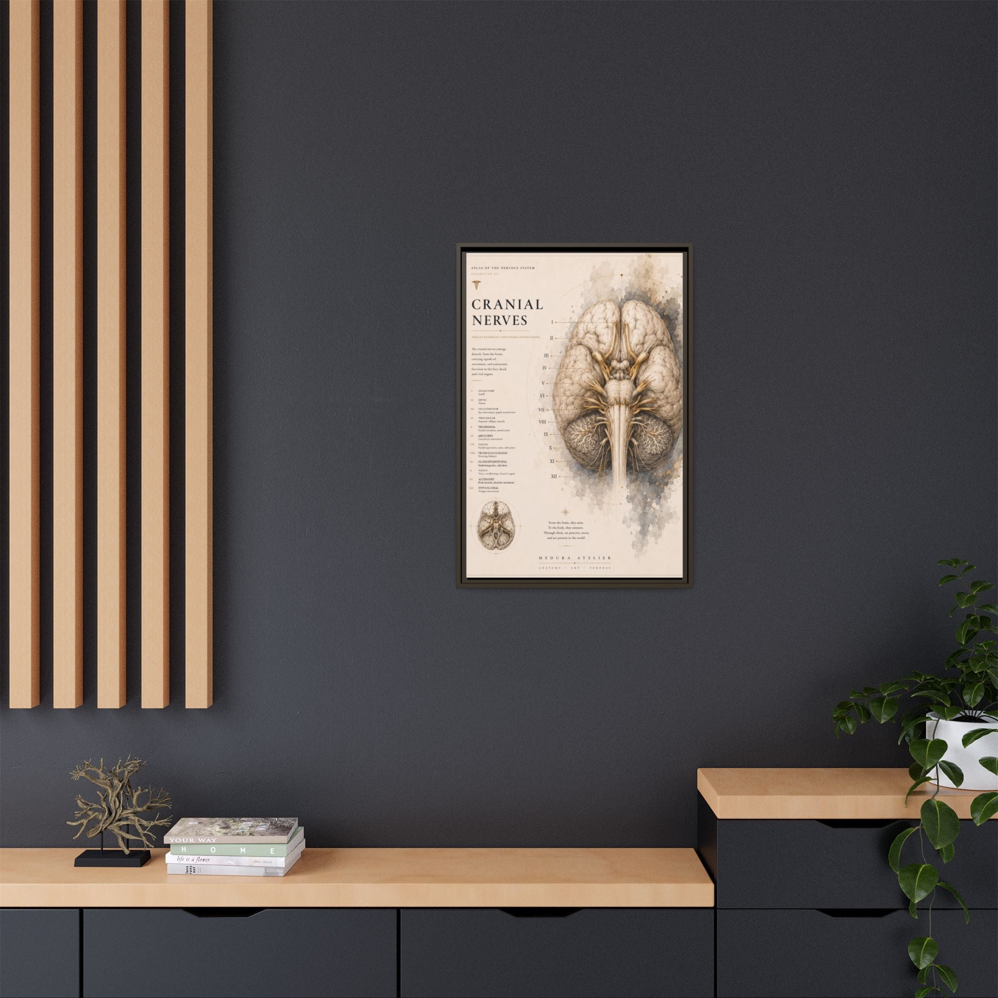 White Matter Brain Wall Art | Luxury Neuroscience Canvas Print | Museum-Inspired Fine Art