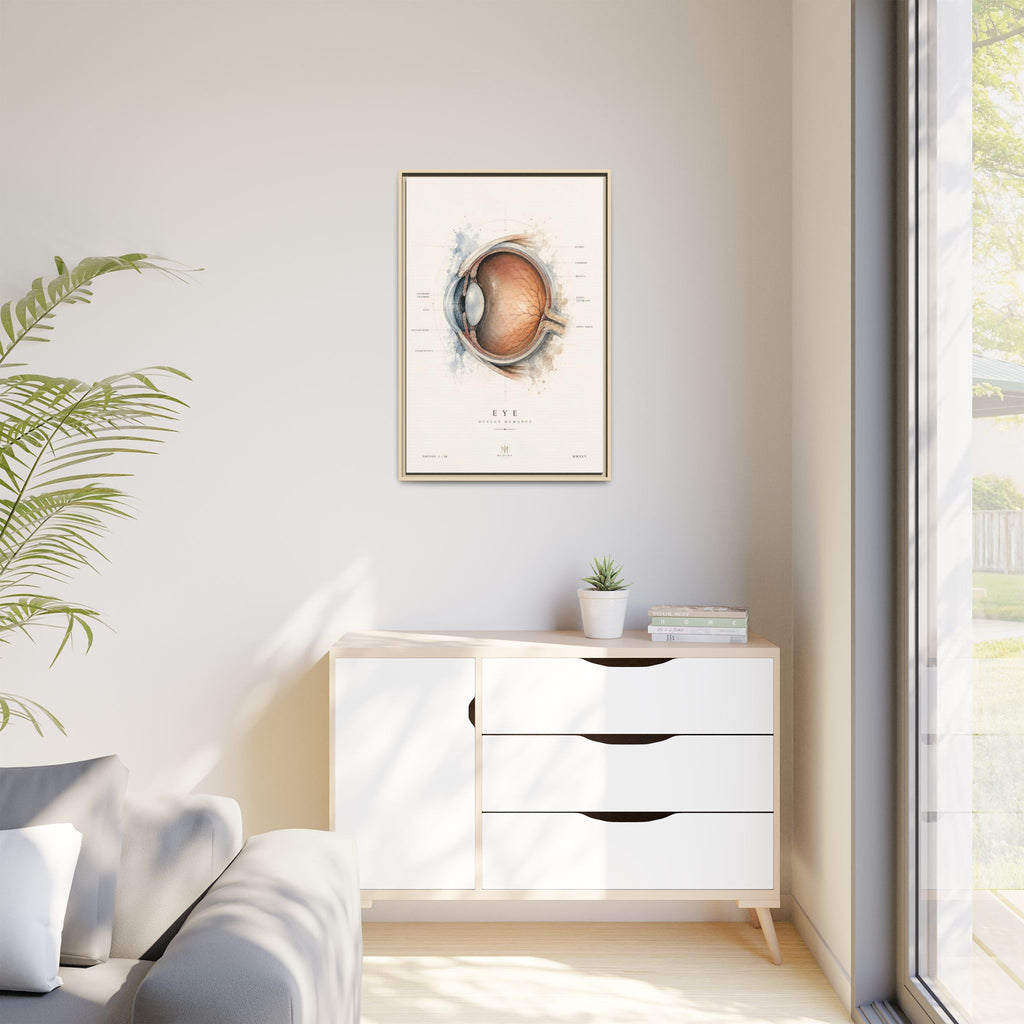 Anatomical Eye Canvas Print | Luxury Ophthalmology Wall Art | Museum-Inspired Medical Decor