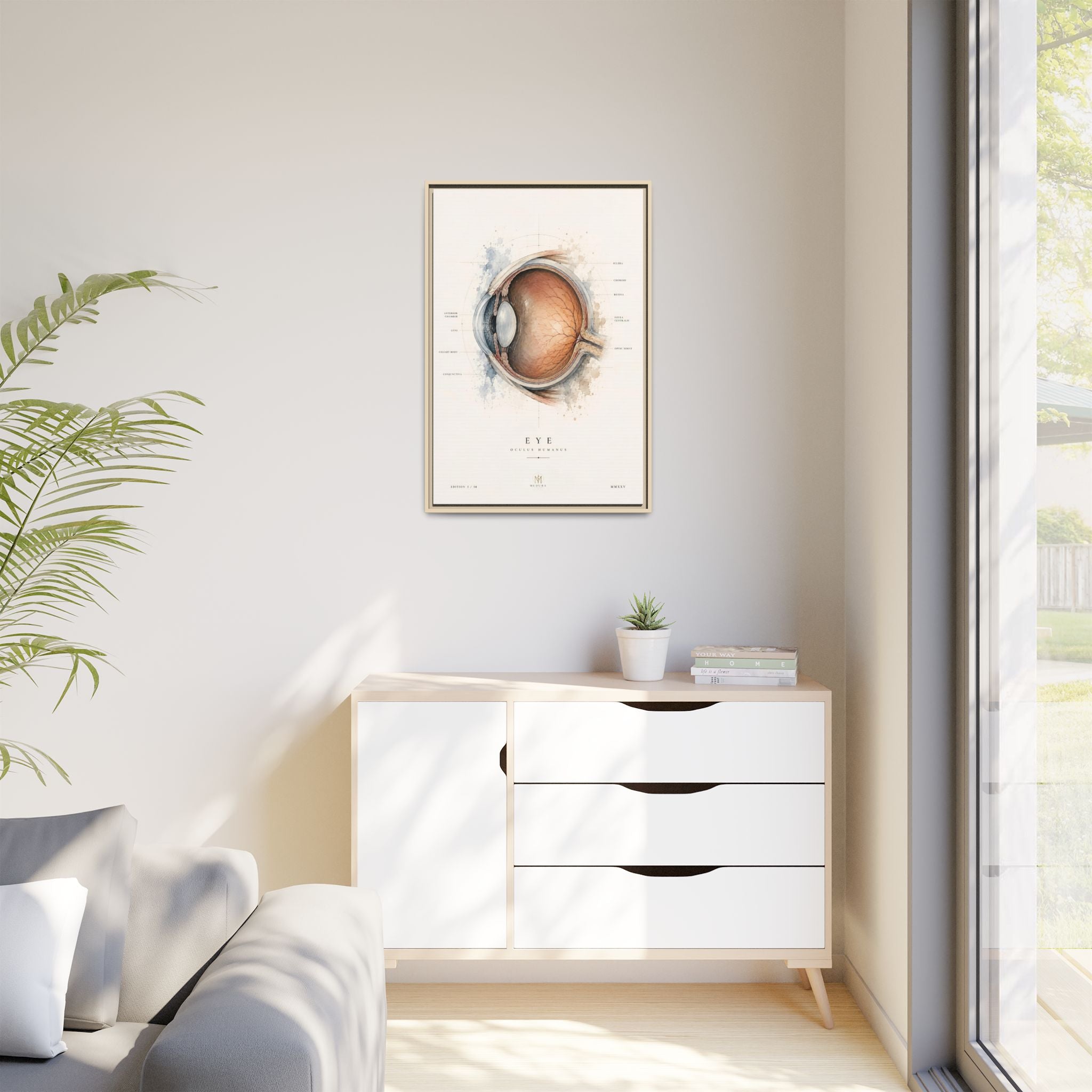 Anatomical Eye Canvas Print | Luxury Ophthalmology Wall Art | Museum-Inspired Medical Decor