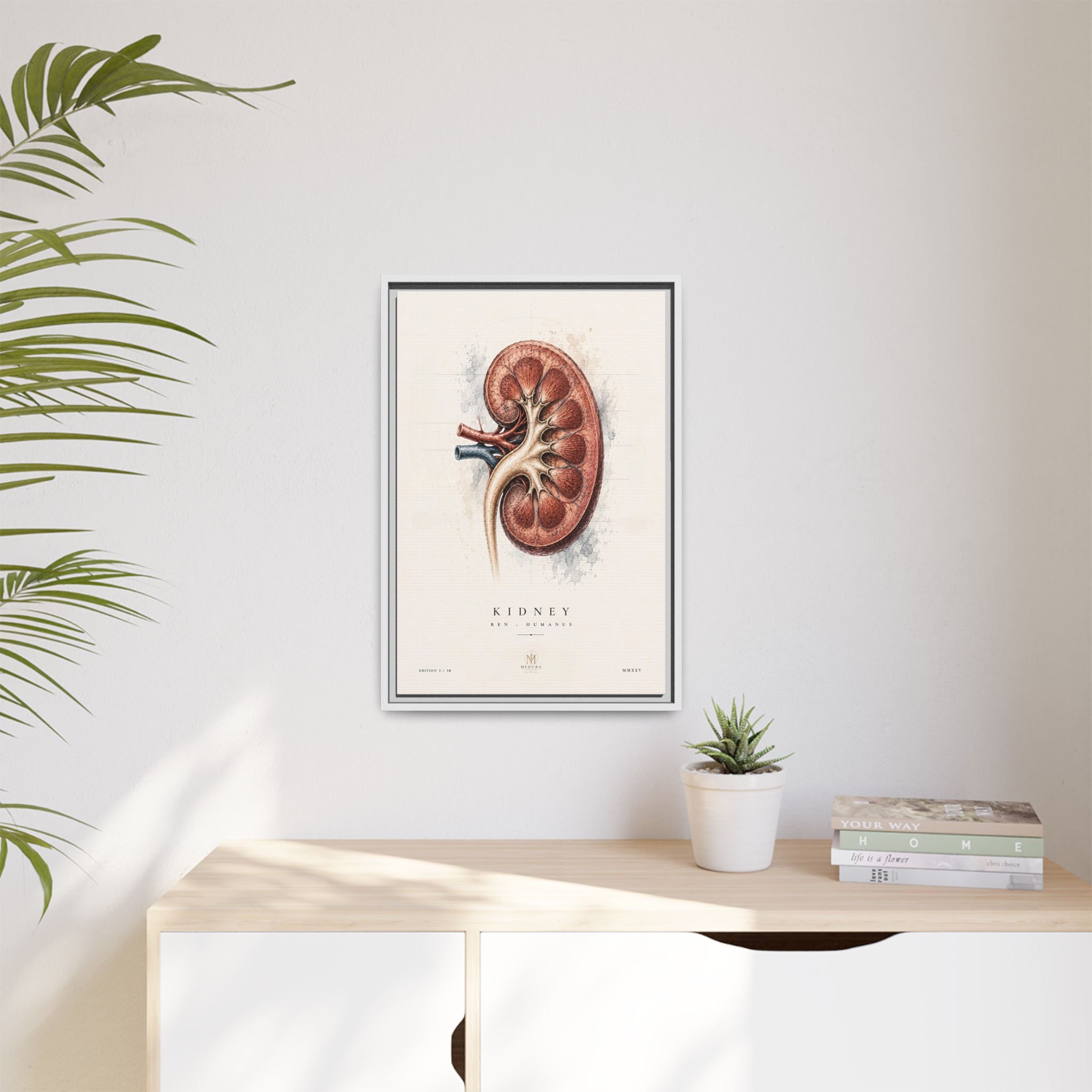 Anatomical Kidney Wall Art | Luxury Nephrology Canvas Print | Museum-Inspired Fine Art