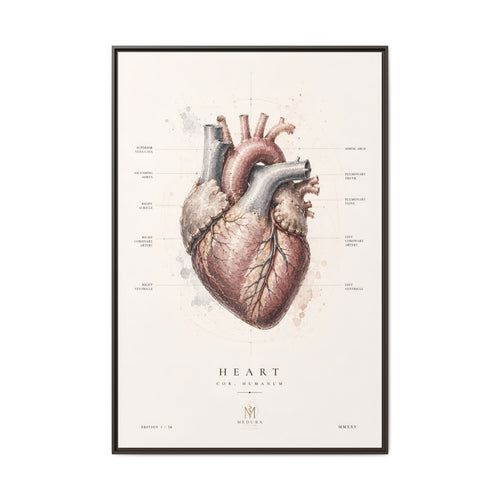 Anatomical Heart Wall Art | Luxury Medical Canvas Print | Museum-Inspired Fine Art